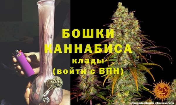PSILOCYBIN Анива